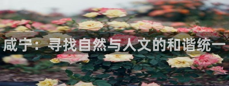 九游会只为非凡