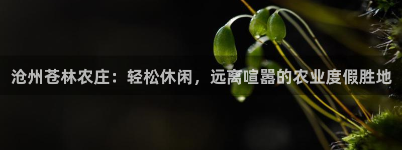 九游会b