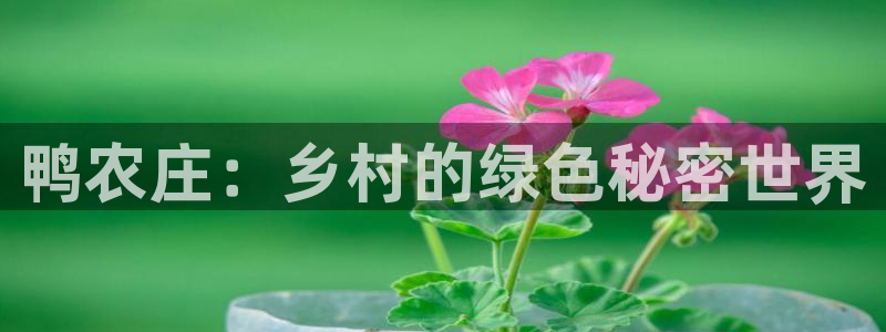 九游会吧