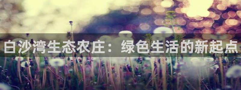 j9九游会公司