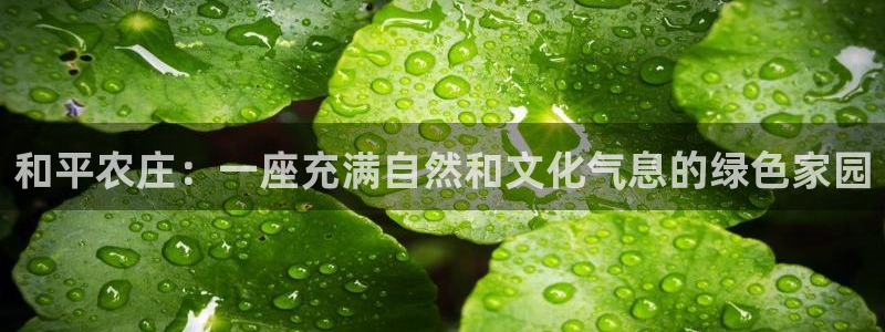 九游会91