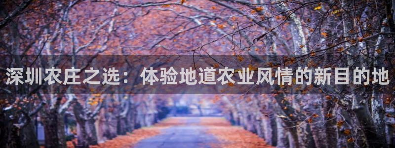 九游会正规