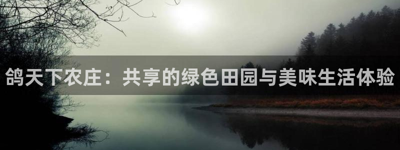 九游会数字站