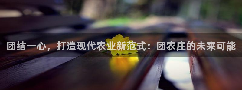 九游与九游会新选择