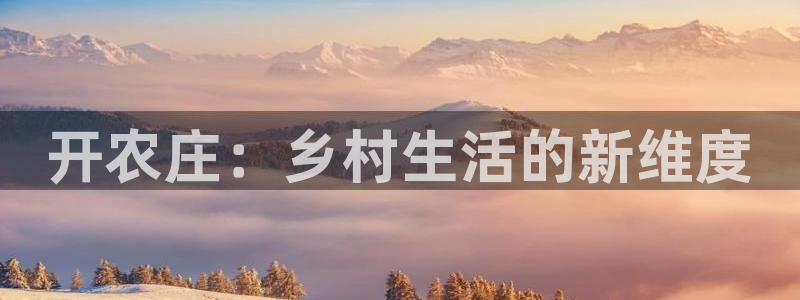玩九游会