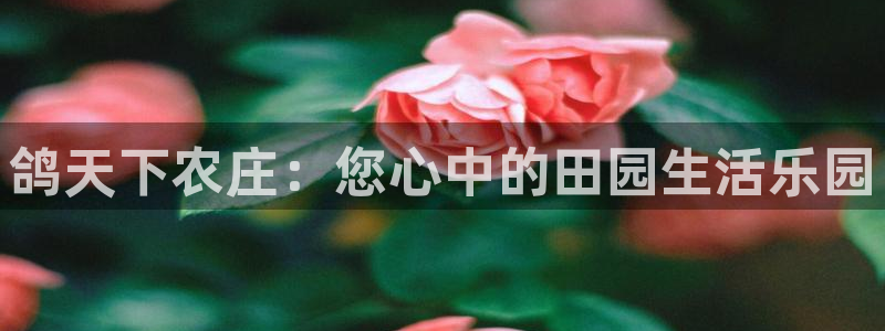 九游会ag官方