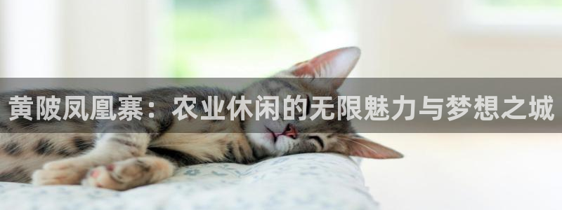 九游会平台九游会
