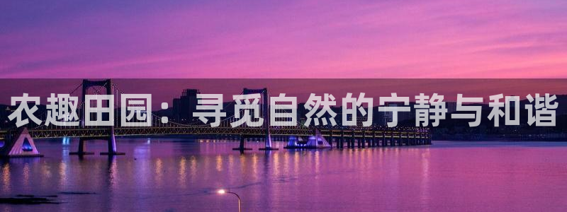 九游会这这个网站怎么样