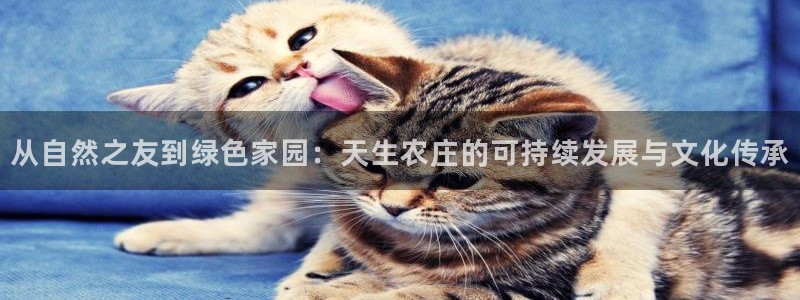 ag九游会亚