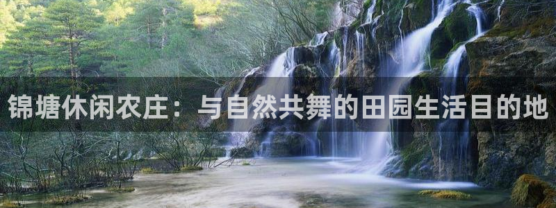 九游会论坛老哥俱乐部
