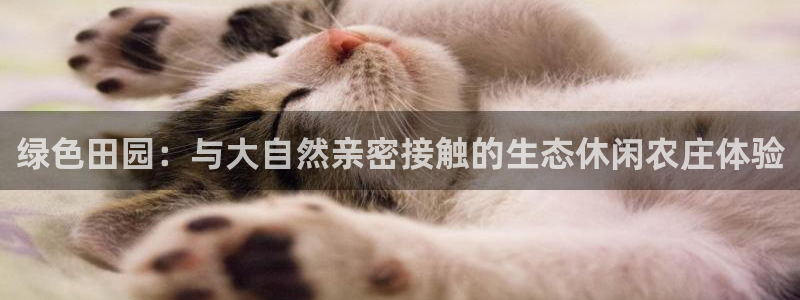 九游会全站官网链接