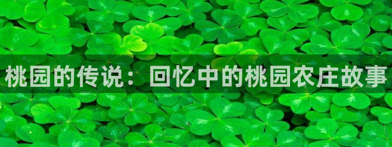 九游会私享