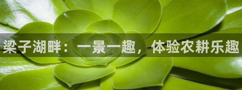 九曲黄河灯游会磁县地址