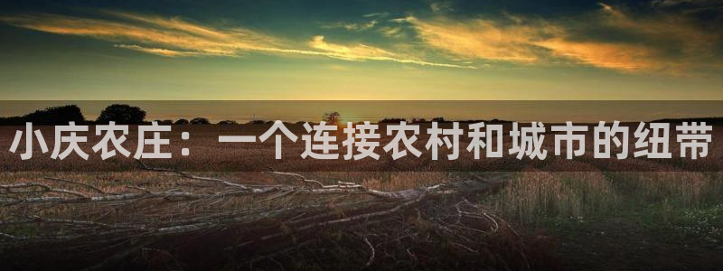 九游会老哥会