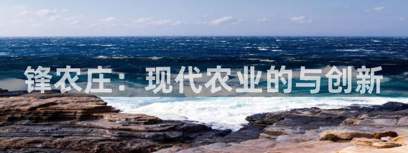 九游会ag群聊
