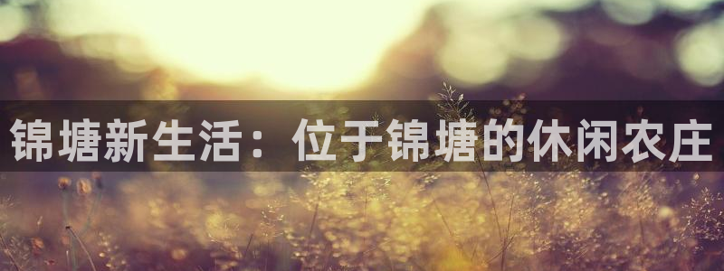 九游账号会丢吗怎么找回