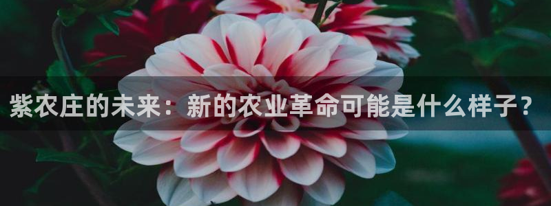 平凉九月游推荐会