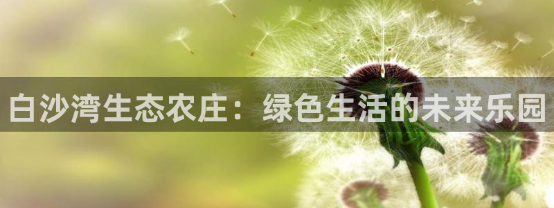 九游会菲律宾