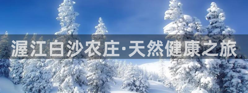j9九游会国际站