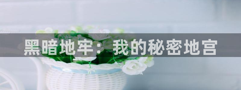 九游会网址平台怎么样