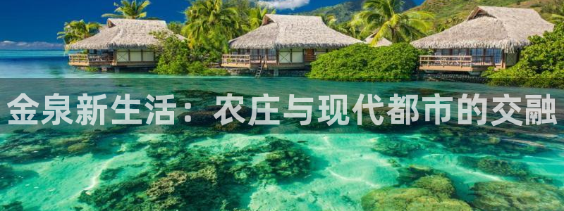 九游会体育app