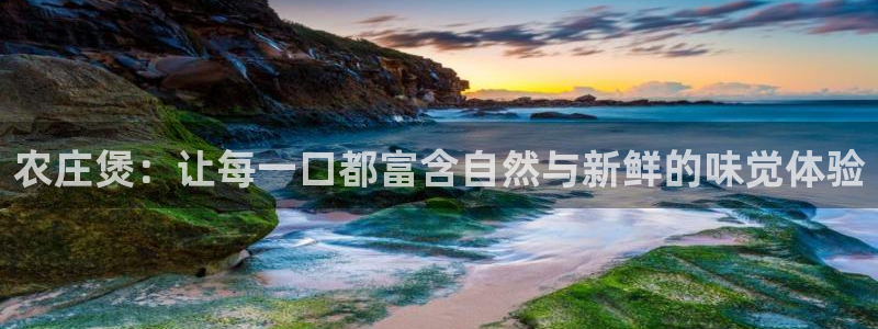 九游会黑网投诉吗