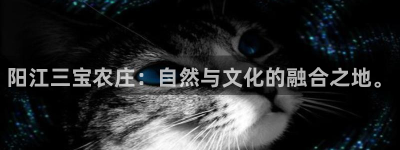 九游老哥会