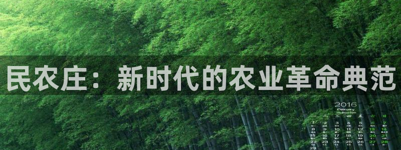 九游会电竞