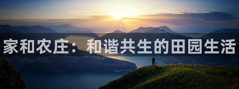ag九游会官网登