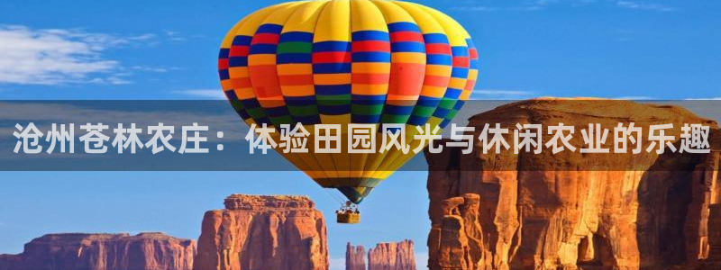 j9九游会官网