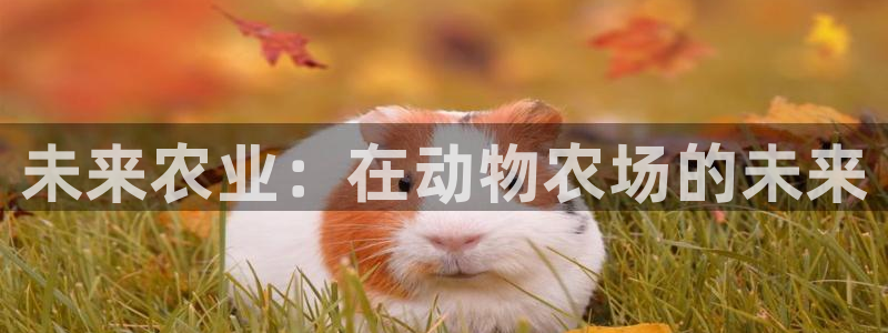 j9九游会网址多少