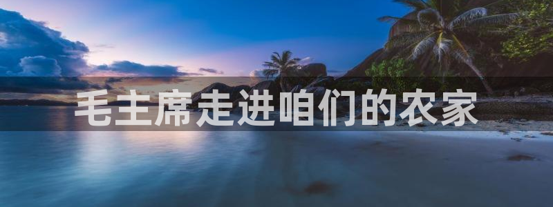 九游会ag合作平台