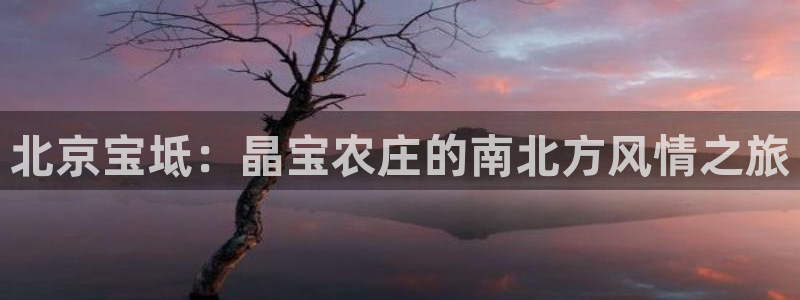 九游会最新下载安装