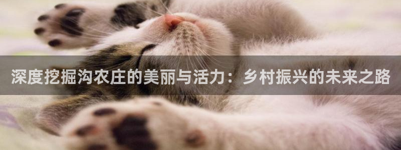 九游会产品介绍