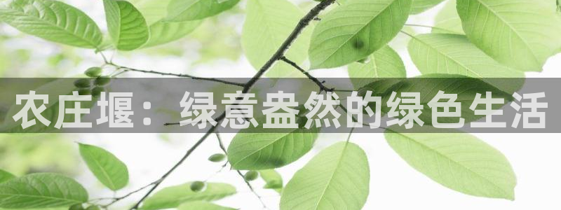 九游会官网网页版下载