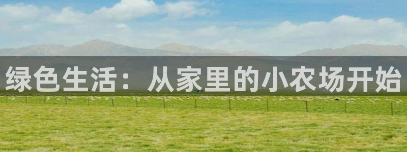 江苏九游会木业