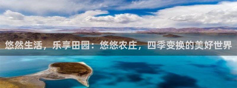 九游会网站是多少