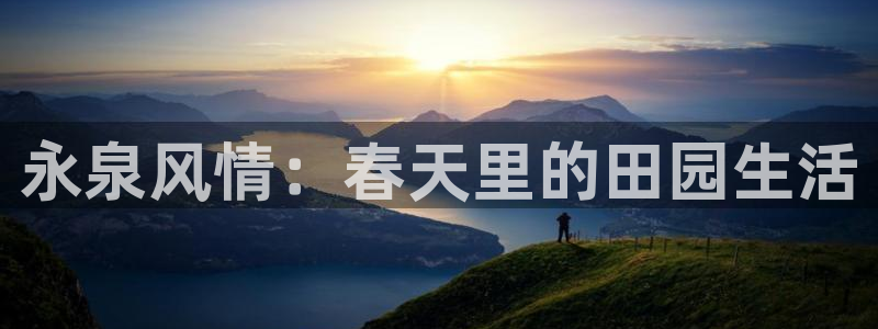 九游会这这个网站怎么样