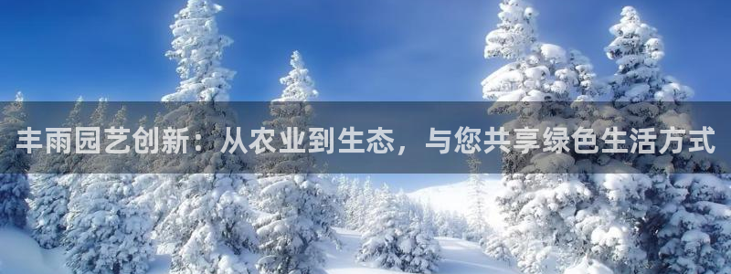 九游会网页入口