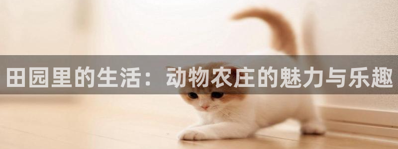 平凉九月游推荐会