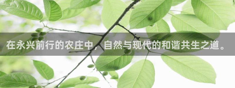 九游会app在线下载