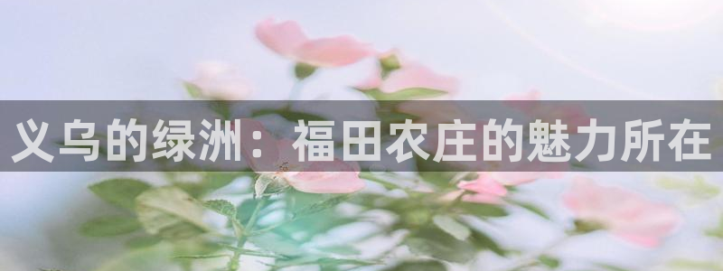 九游账号会丢吗吗