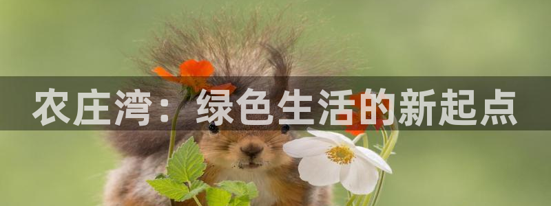 九游会j9官方登陆