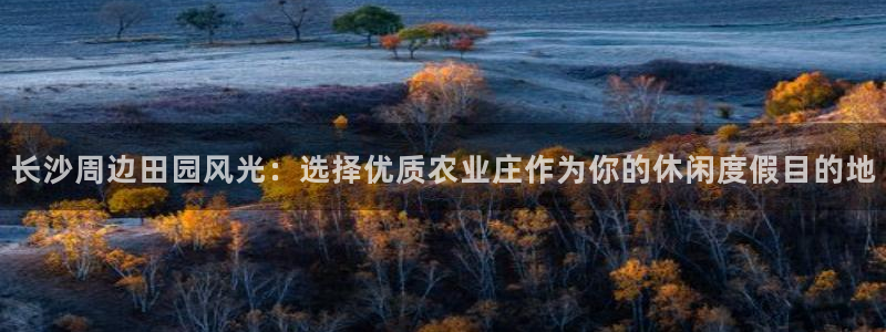 九游会网页版登陆入口